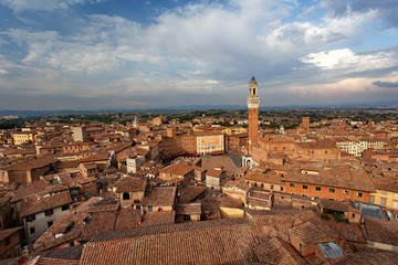 Fototapeta premium Siena, Tuscany, Italy. View of the Old Town - Piazza del Campo, Palazzo Pubblico di Siena, Torre del Mangia at sunset from Siena Cathedral (Duomo di Siena)