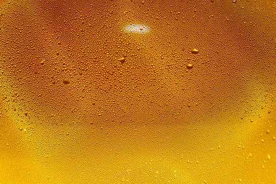 Condensation On Beer Bottle