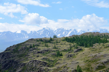 Snowy peaks of mountains on the background of the forest