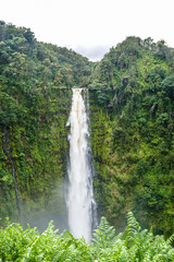 Akaka Falls 3