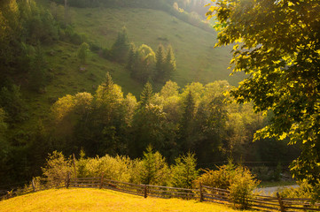 Romantic autumn landscape in the Carpathians. Yellow leaves on the tops of trees. Trees on the hills are illuminated by bright sunbeam light.