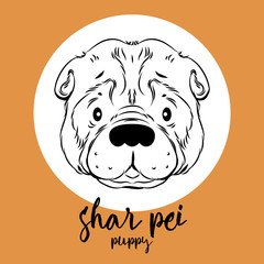 shar pei head isolated on white background. Vector illustration, design element for cards, banners and other