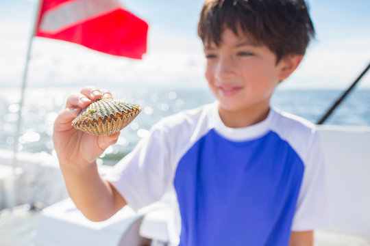 Boy examining scallop on boat, dive flag in background, Gulf of Mexico, Homosassa, Florida, US