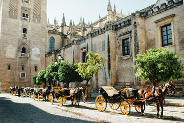 Fototapeta na wymiar Horse drawn carriage in Sevilla, Spain