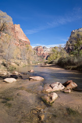 Angel River, Zion National Park