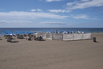 Lanzarote, Spain - August 23, 2015 : View of Los Pocillos beach, Lanzarote