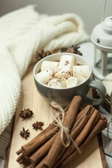 Christmas mood. Cinnamon. Christmas decorations. Plaid, a tray, a mug of hot cocoa, marshmallows. Cozy. Gift. Christmas box.