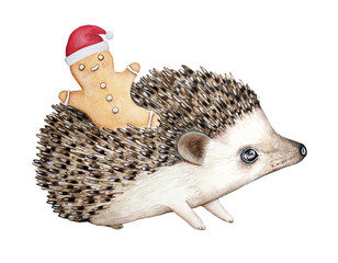 Cute hedgehog carries a smiling gingerbread man cookie in a red santa claus hat. New year decoration. Hand painted watercolor illustration isolated on a white background.