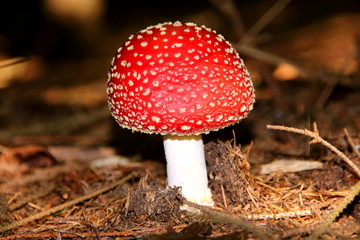 landschaft und natur