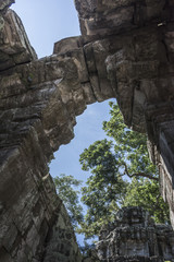 Ruins of Ta Prohm Temple, Angkor Archaeological Park, Krong Siem Reap, Siem Reap, Cambodia