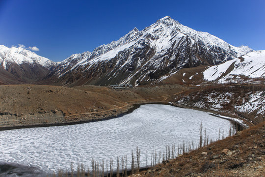 Blossom in Pakistan 