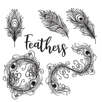 Vector illustration of beautiful peacock feather set isolated on a white background. Trendy hipster background, logotype, tattoo design element. Colorful gradient.