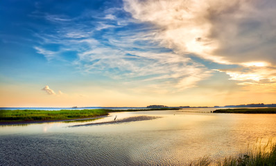 Fototapeta premium Great Blue Heron korzystających złoty zachód słońca Chesapeake Bay