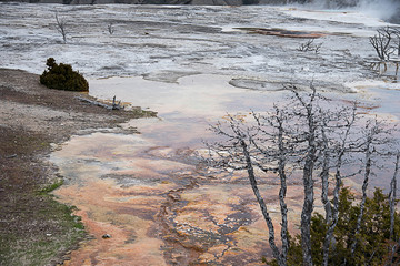 Mammoth Hot Spring