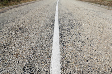 Naklejka premium Country road outside of city / Asphalt road with white dividing strip