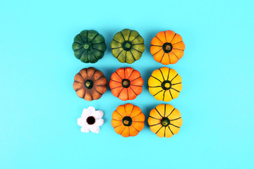 Decorative pumpkins on trendy blue background with fall leaves.