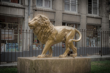 Lyon, Lion, Symbol, Broze