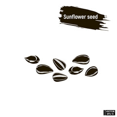 Sunflower seeds, outline ink sketch