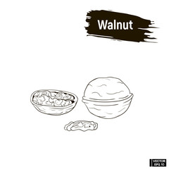 Outline image of walnut ink