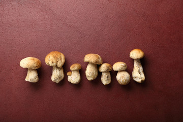 Season mushrooms on red background