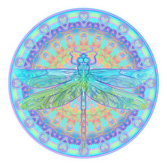 Ornate dragonfly over colorful round mandala pattern. Ethnic patterned vector illustration. African, indian, totem, tribal, zentangle design.