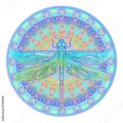 Download "Ornate dragonfly over colorful round mandala pattern ...