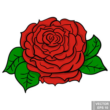 Flower. rose flower. manual drawing. Circuit. Plant. For your design.