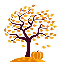 autumn tree and pumpkin