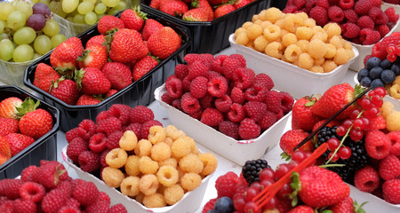 Obst in Hülle und Fülle