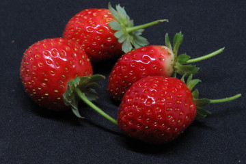 Fragole