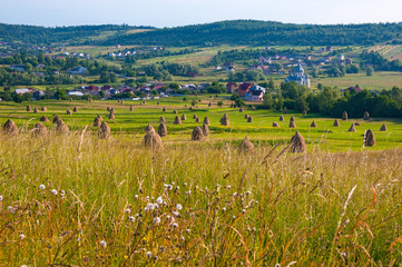 Field with haystacks in the sunny day. Rural landscape; hey rolls on the field at the mountain in Ukraine.