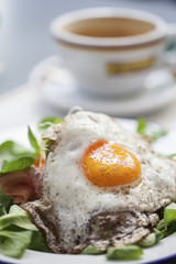 Fried Egg Breakfast