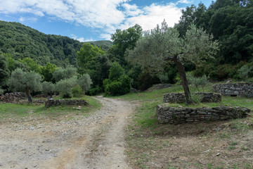 Beautiful nature of the Holy Athos Mountain