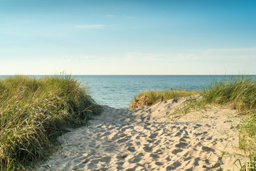 Dunes transition in the north eastern german region of fish land and Darss, located in the federal state Mecklenburg Vorpommern. A beautiful landscape in north Germany