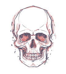 Sketchy style drawing of human skull, human head, isolated on white. Tattoo design element. Vector illustration.