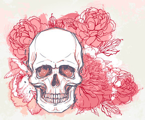 Human skull with peony, rose and poppy flowers on watercolor background.Tattoo design element. Vector illustration.