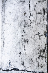 Wooden Close Up of desolate Door Texture