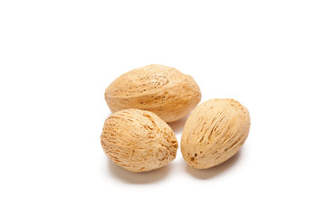 Dried florist supplies. Dried decoration plants