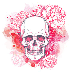 Human skull with peony, rose and poppy flowers on watercolor background.Tattoo design element. Vector illustration.