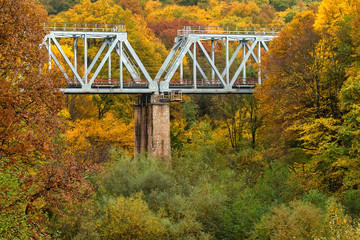 Fototapeta premium Autumn landscape with bridge