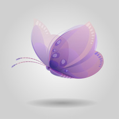 cute violet butterfly