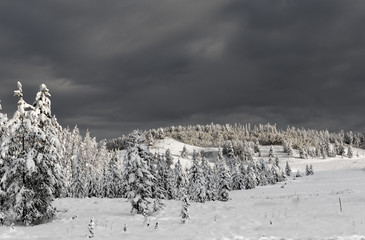 Togwotee Pass