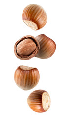 hazelnuts isolated on a white background