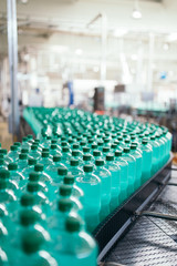 Fototapeta premium Bottling plant - Water bottling line for processing and bottling pure mineral carbonated water into bottles.