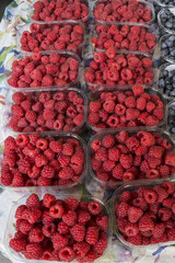 Himbeeren