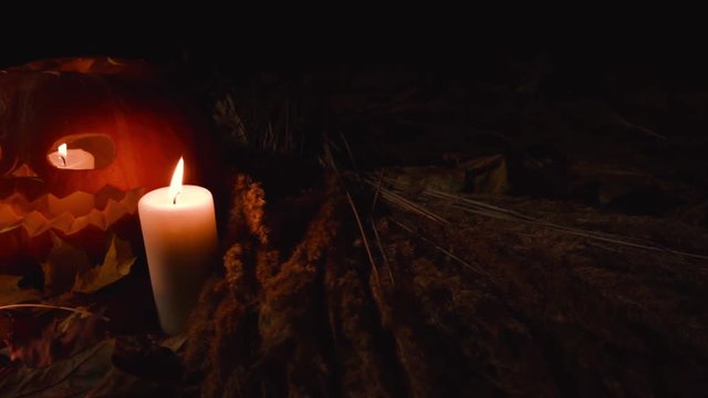 All Saints' Day, Thanksgiving, Halloween, Harvest Festival. Three large pumpkins with carved terrible face lying to autumn maple leaves.Large small candles are around.Candle burns inside the pumpkin.