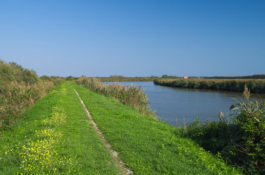 View of one of the channel of the Delta of Po river near the Adriatic sea not far from Goro village, Ferrara, Italy
