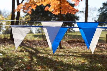 Colorful blue and white bunting in a fall field