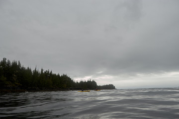 Kayakers paddling near shore on cloudy day