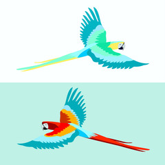 Flying Parrot Ara. Vector. © yulyyulia